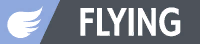 Dragon- and Flying-type